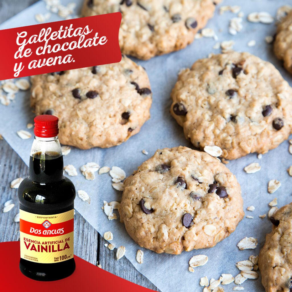 Galletitas de chocolate y avena