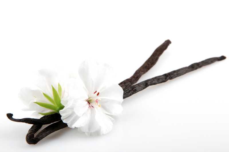 Lo que nunca te contaron de la vainilla