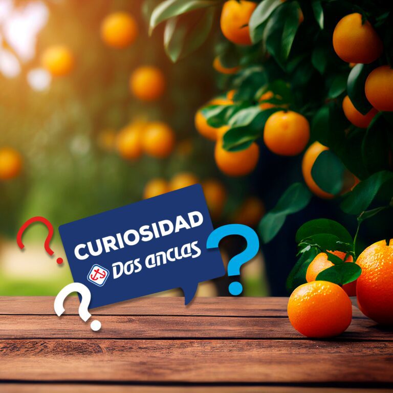 Comidas Otoño